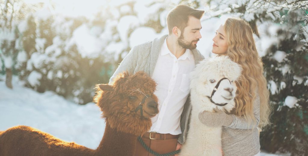 216e17cb 1de4 420e 9a31 0a7bb542ece3